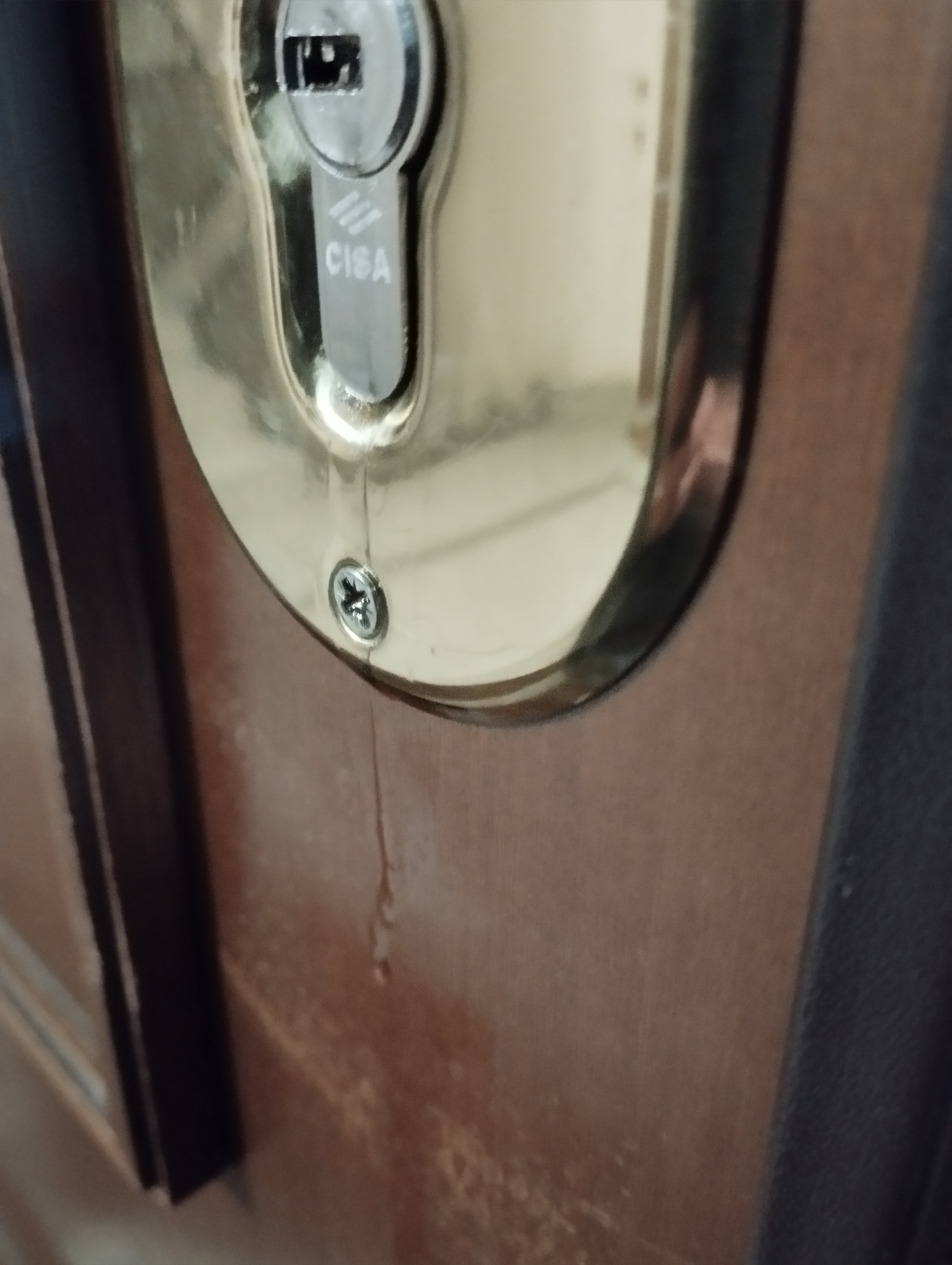 Cannatre banner image