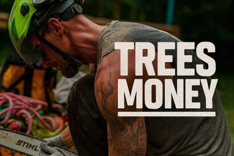 Treesmoney 👑 cover image