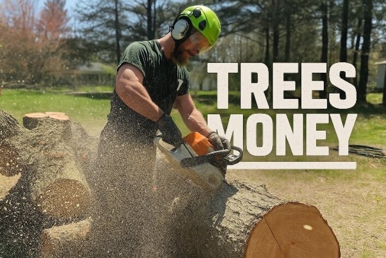 Treesmoney banner image