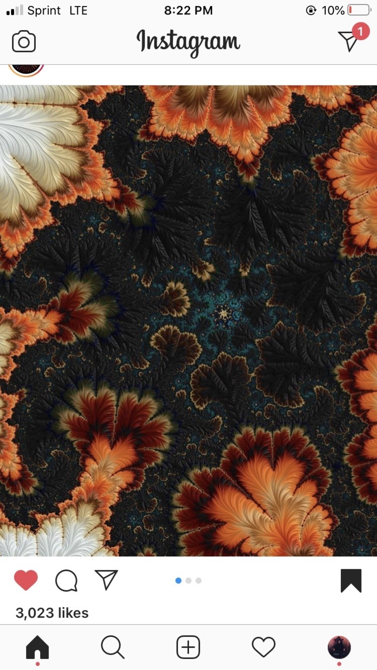 ππππ ππππ banner image