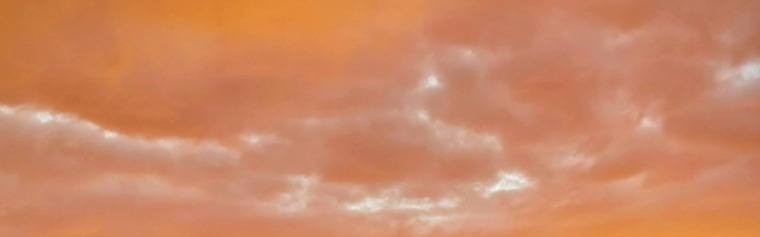 triebfixiert cover image