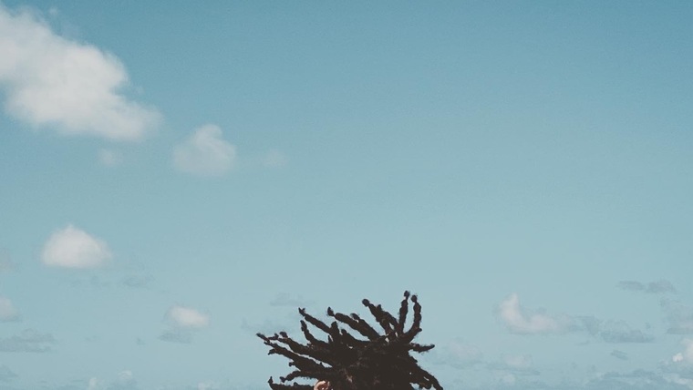 Trinidaddy cover image
