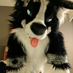 Trip E Collie avatar
