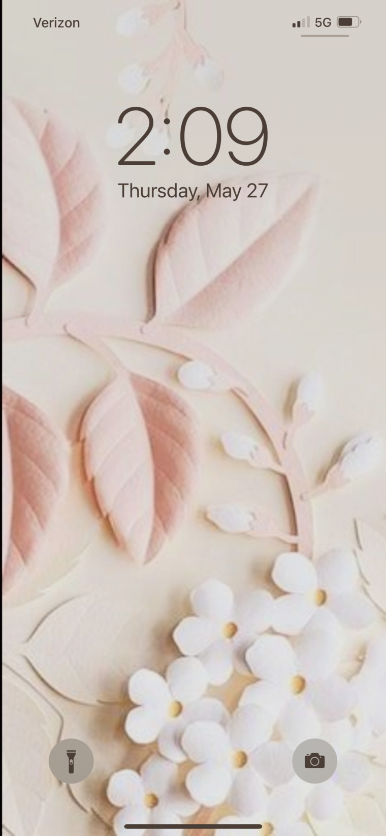 Sierra Ashton banner image
