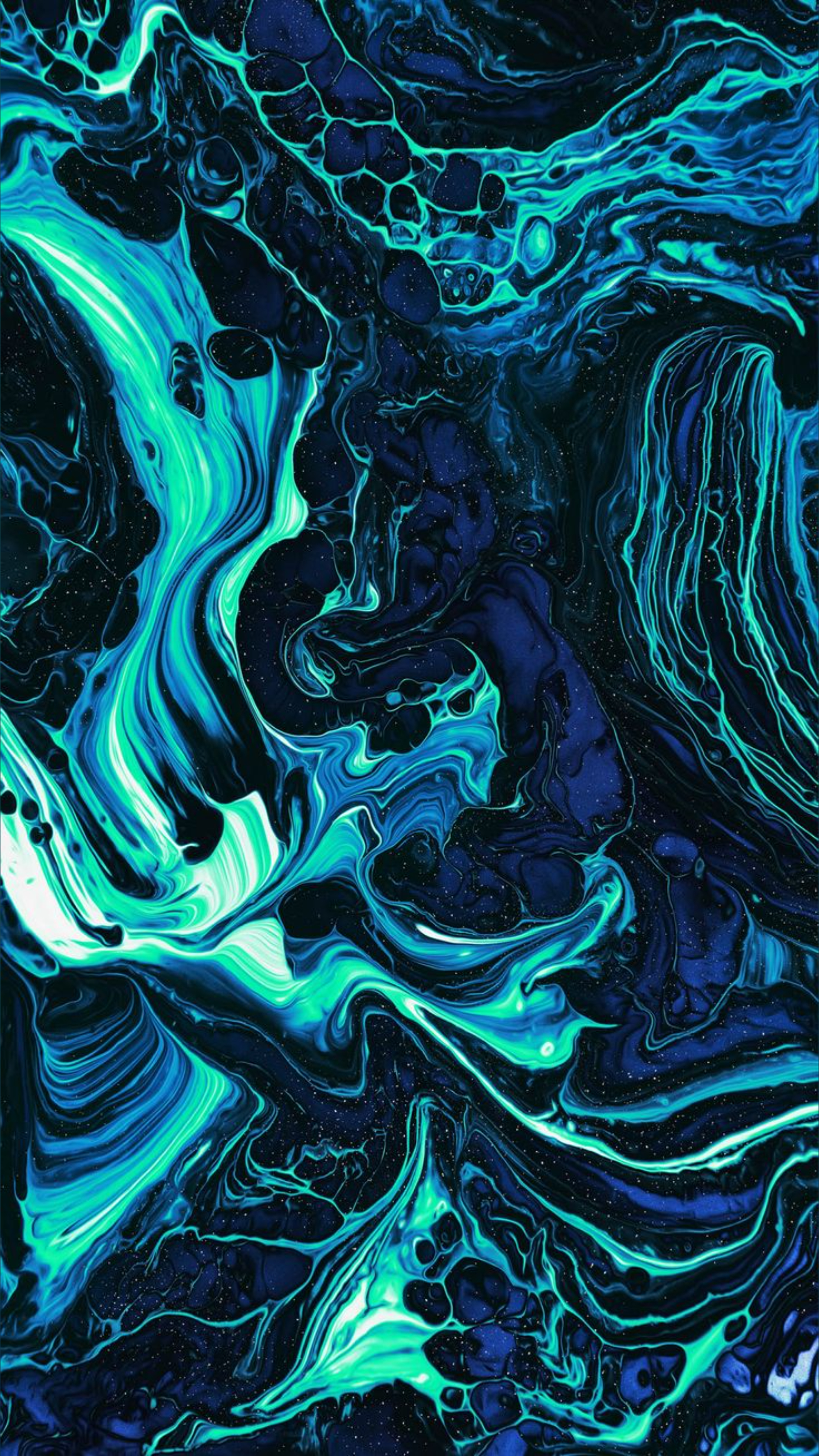 Trippxl banner image