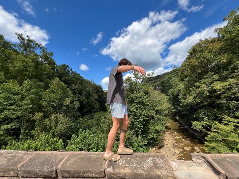 Trippy Nature Lover cover image
