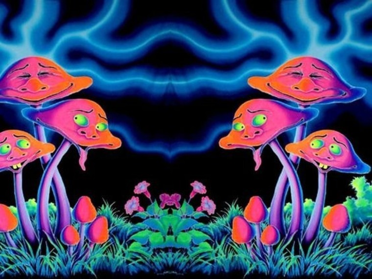 Trippyy Mushrom banner image