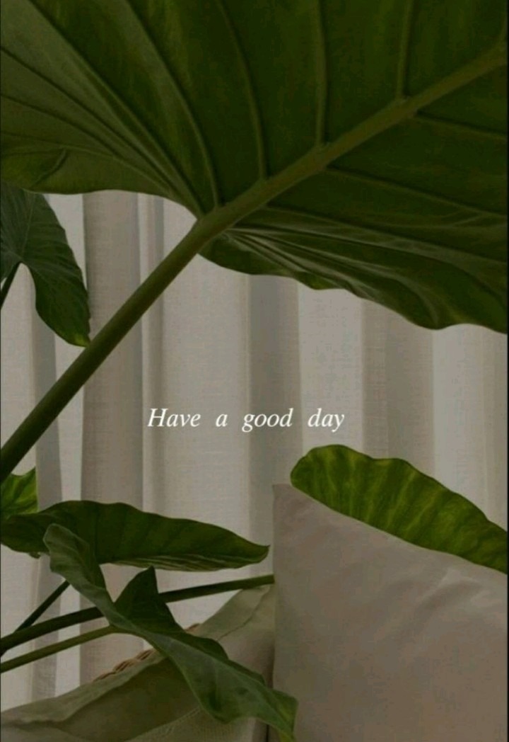 Trisa Vaher banner image