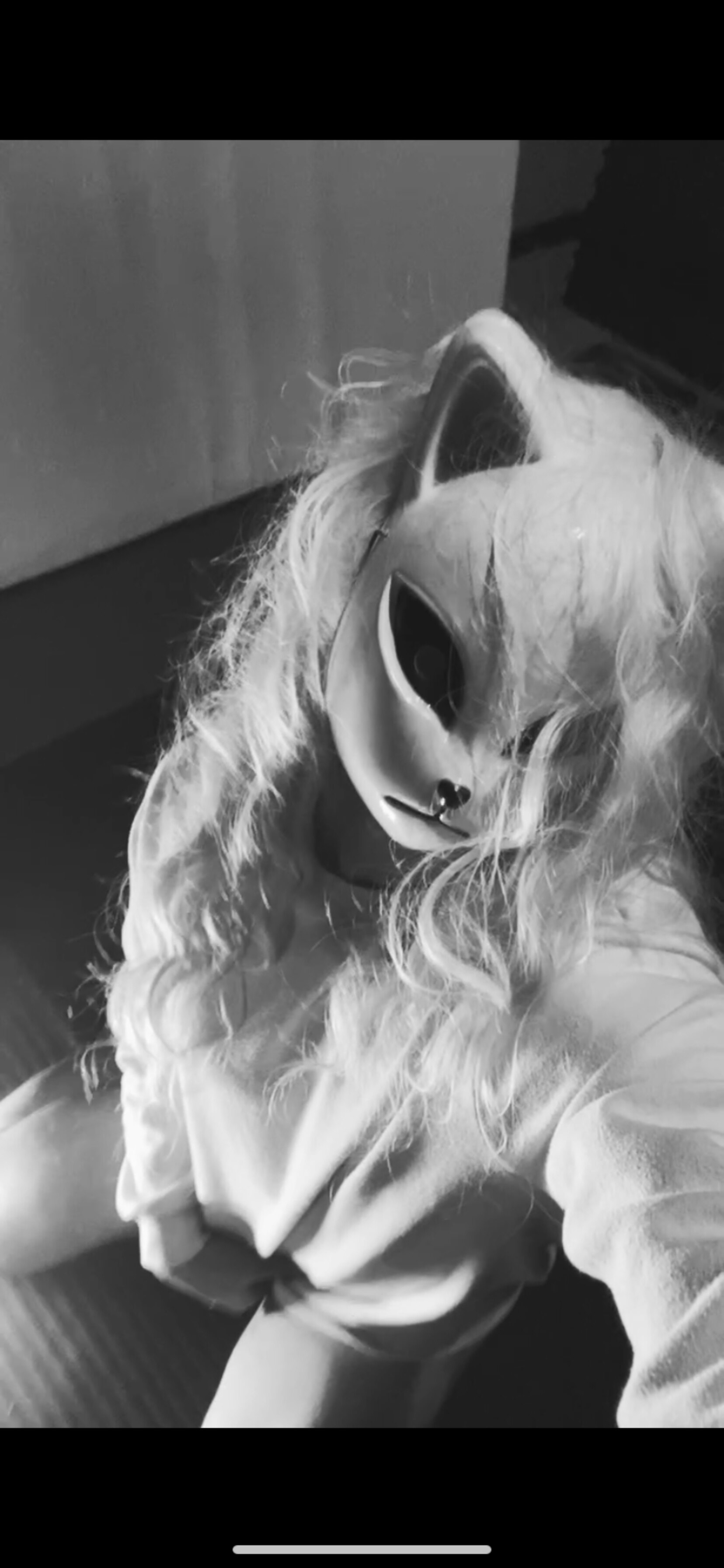 Trisfitt banner image