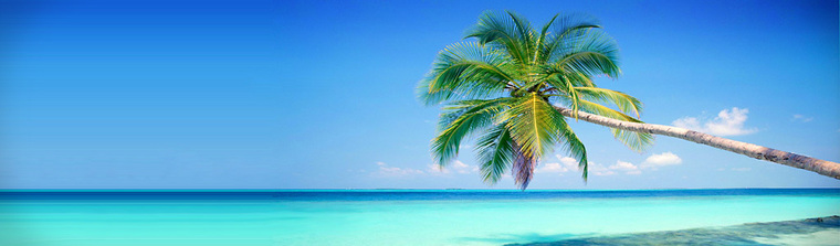 Tristan T banner image