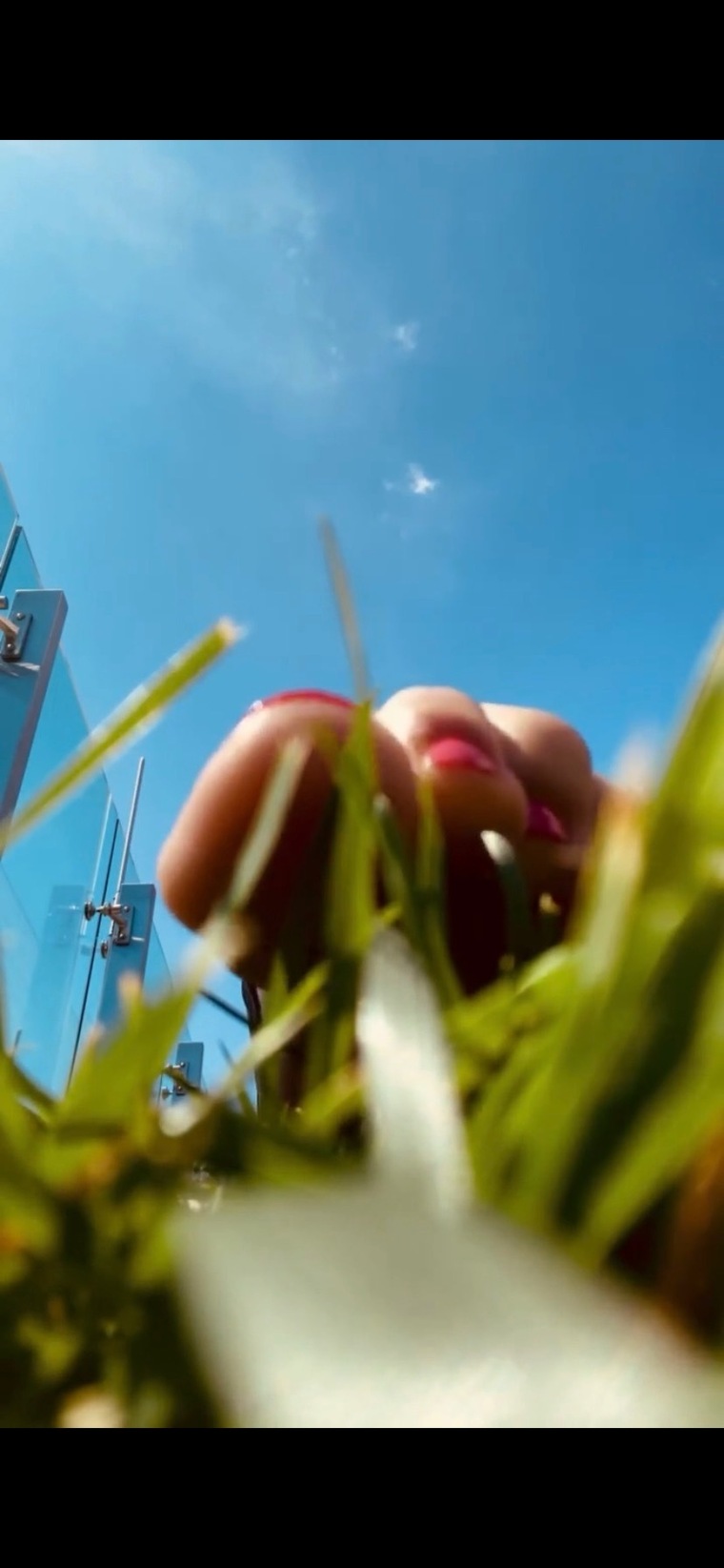 Trixy Toes banner image