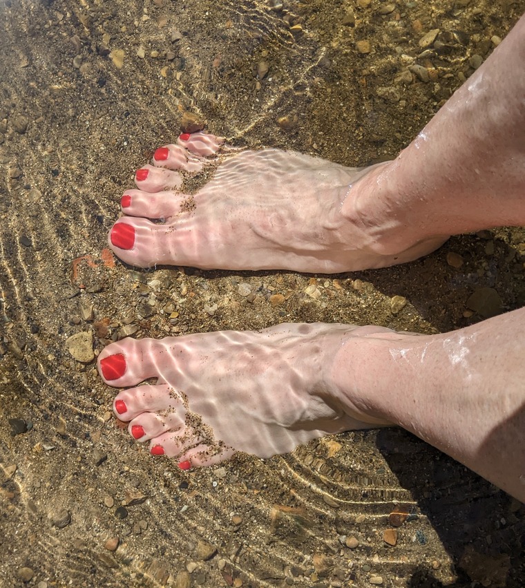 Fancyfeet banner image
