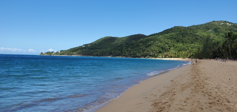 Kenjy Tropic banner image