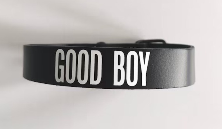 Your Naughty Boy! cover image