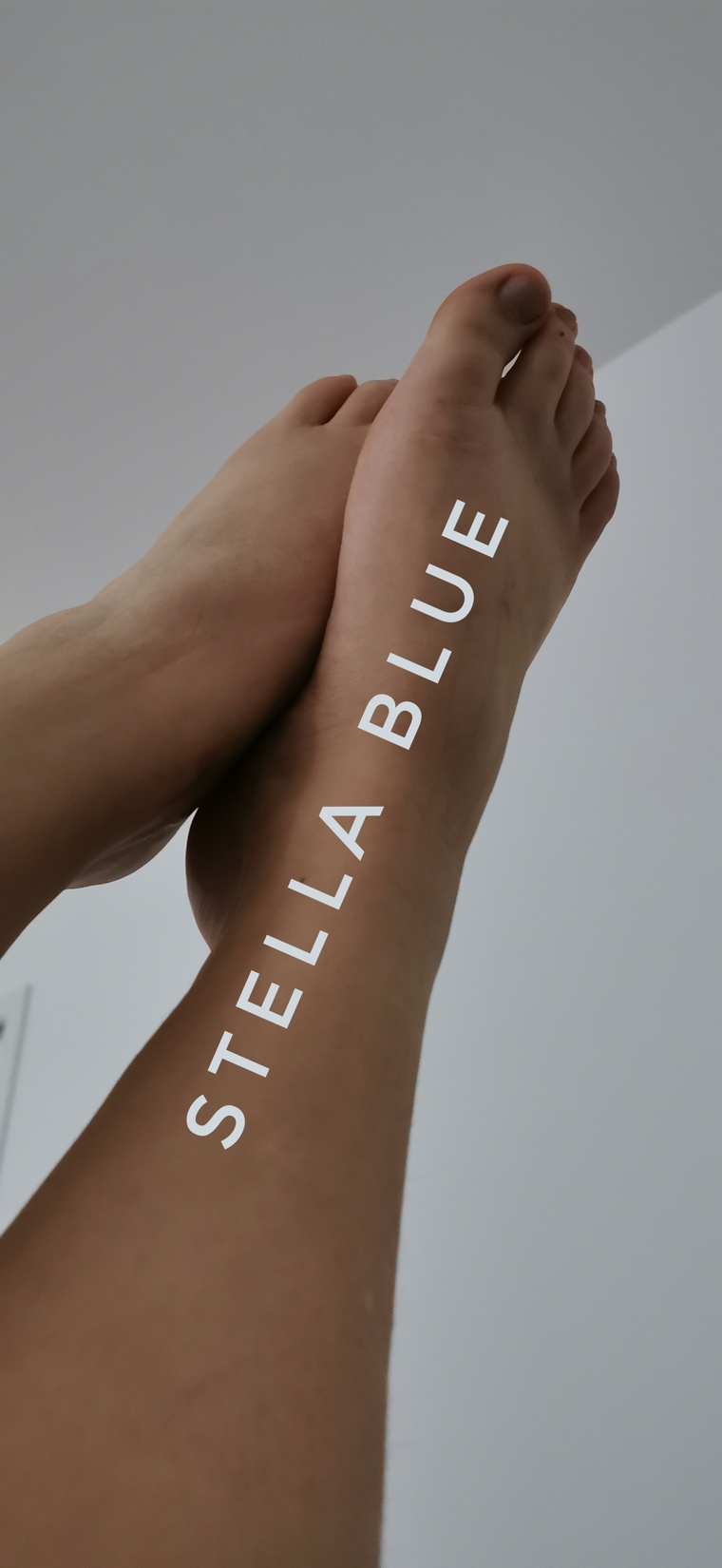 TrueBlue banner image