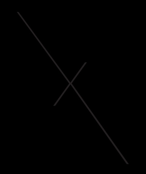 Lexi cover image