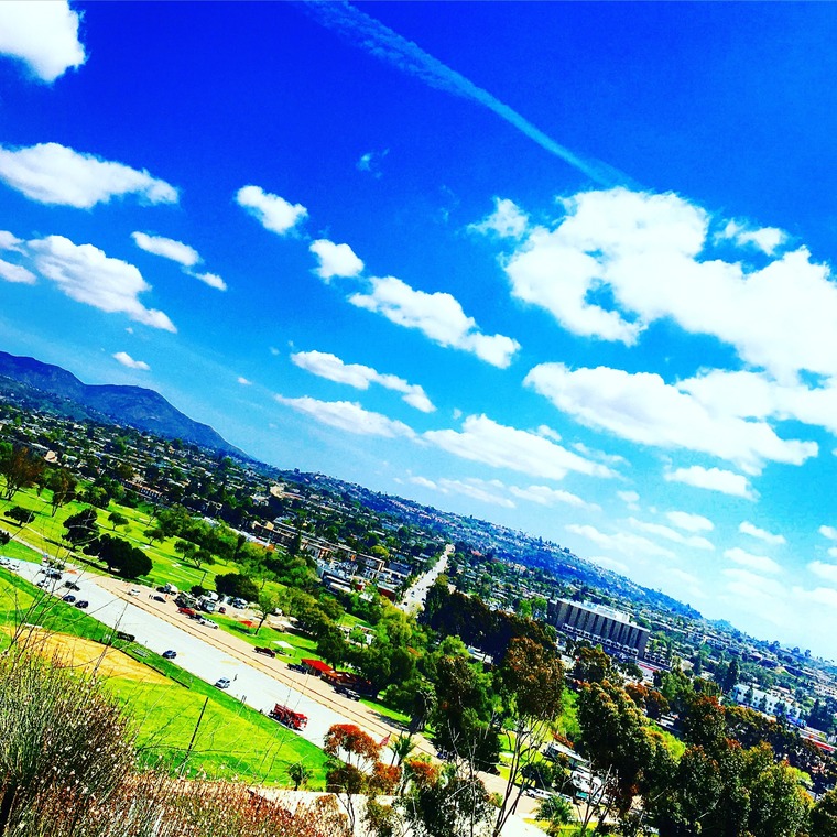 Trvpology cover image
