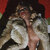 TS Lo-Lo avatar