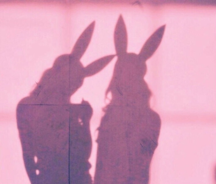 Ts Celybunny🐇 banner image