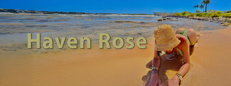 Haven Rose cover image