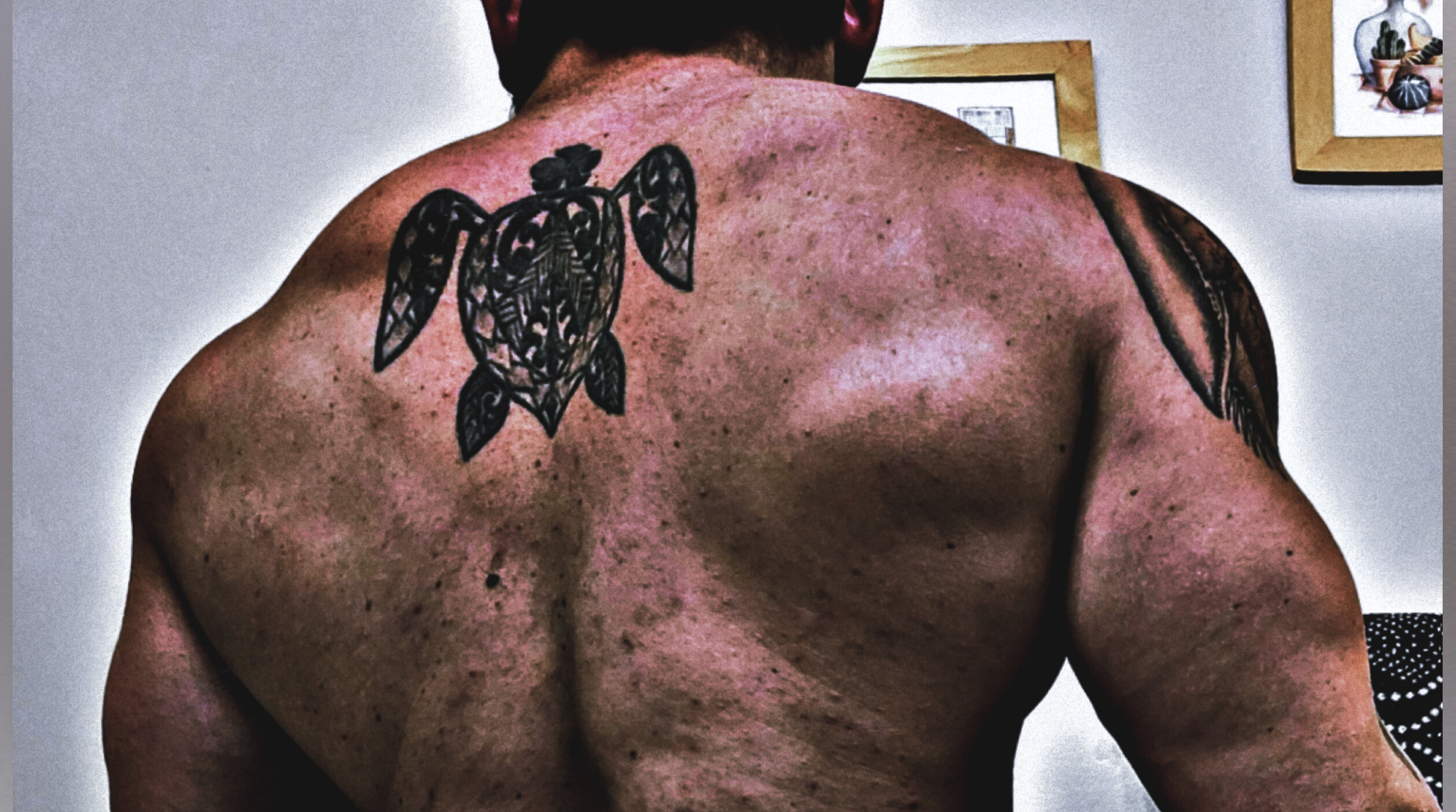 Tommy S banner image
