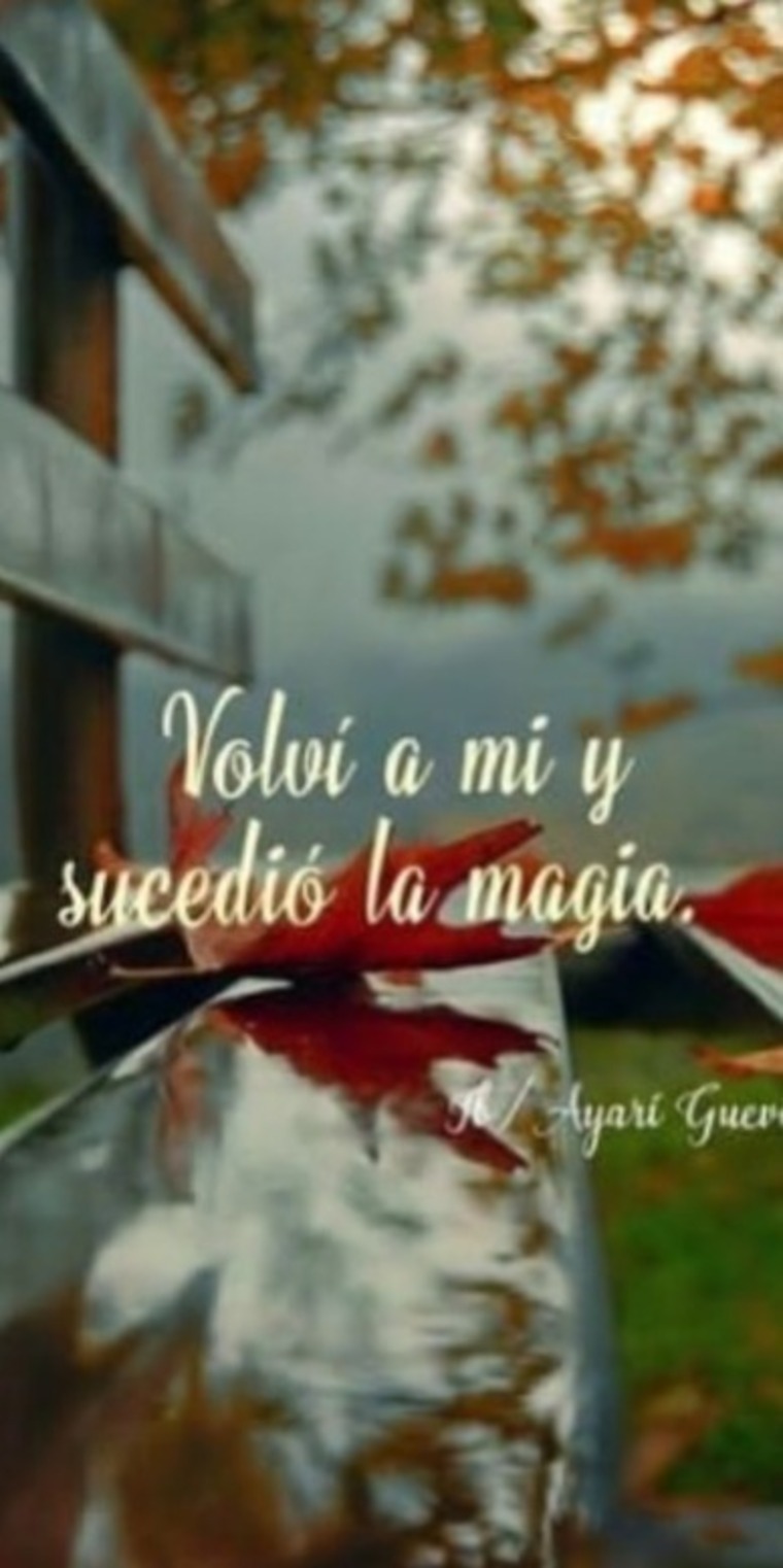 Estefanía cover image