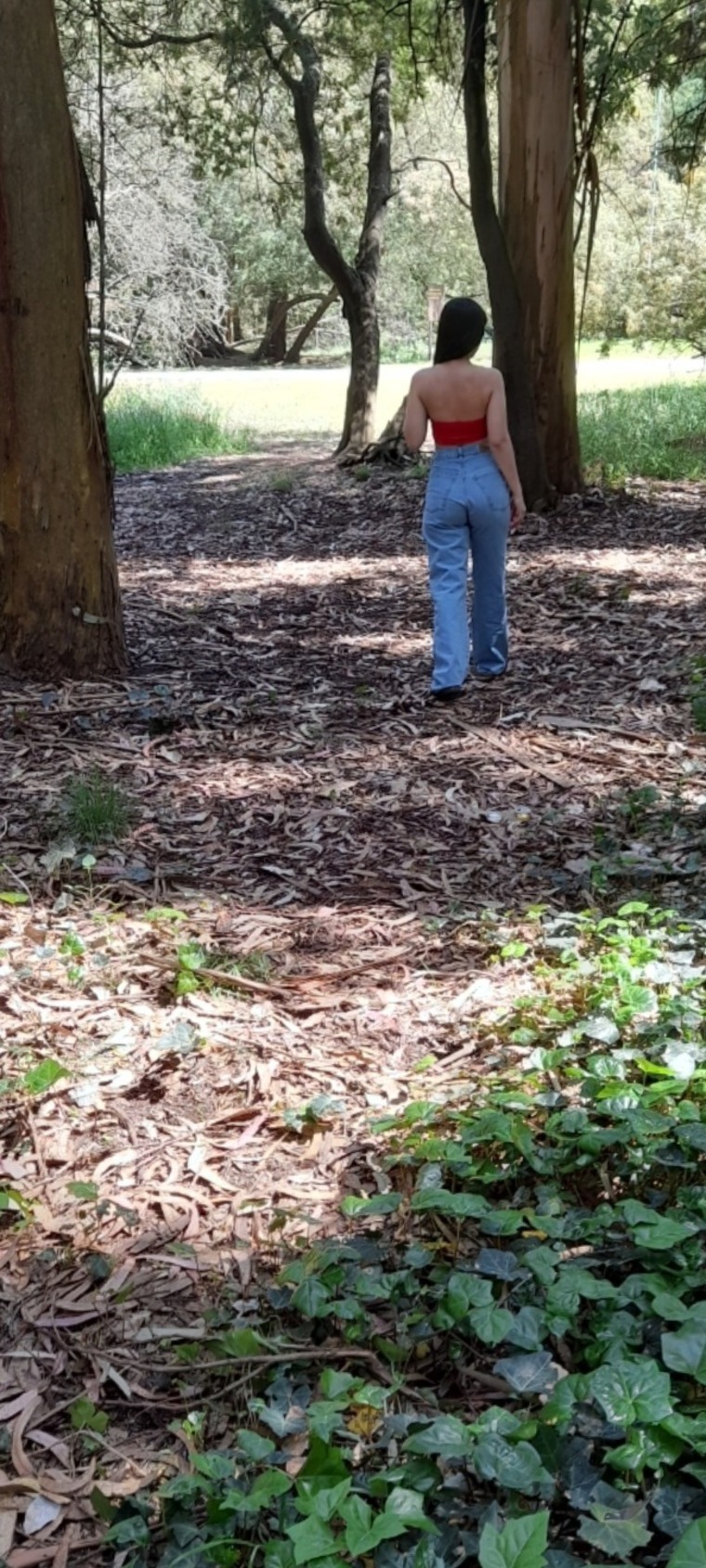 Candelaria cover image
