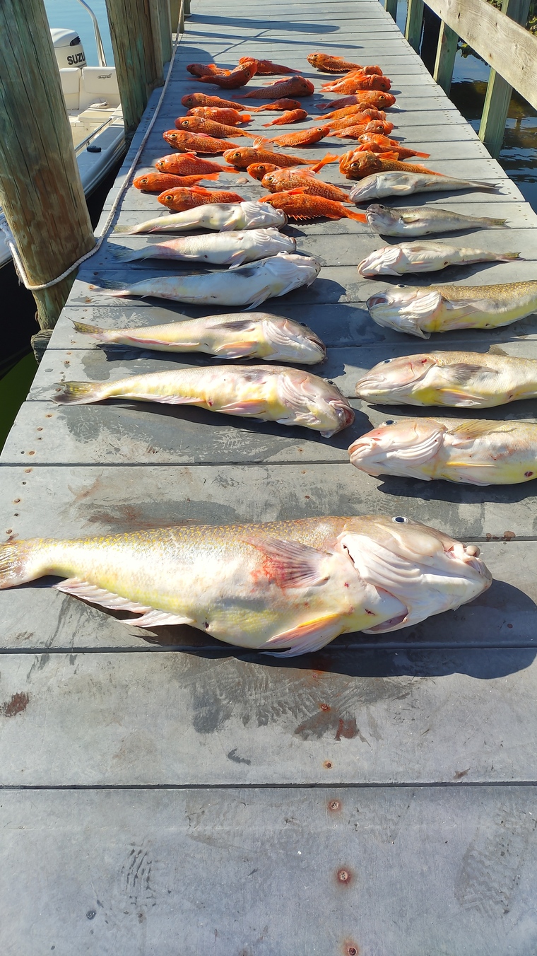 FishinWithTuck cover image