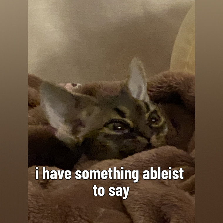 tumblrpicsa cover image