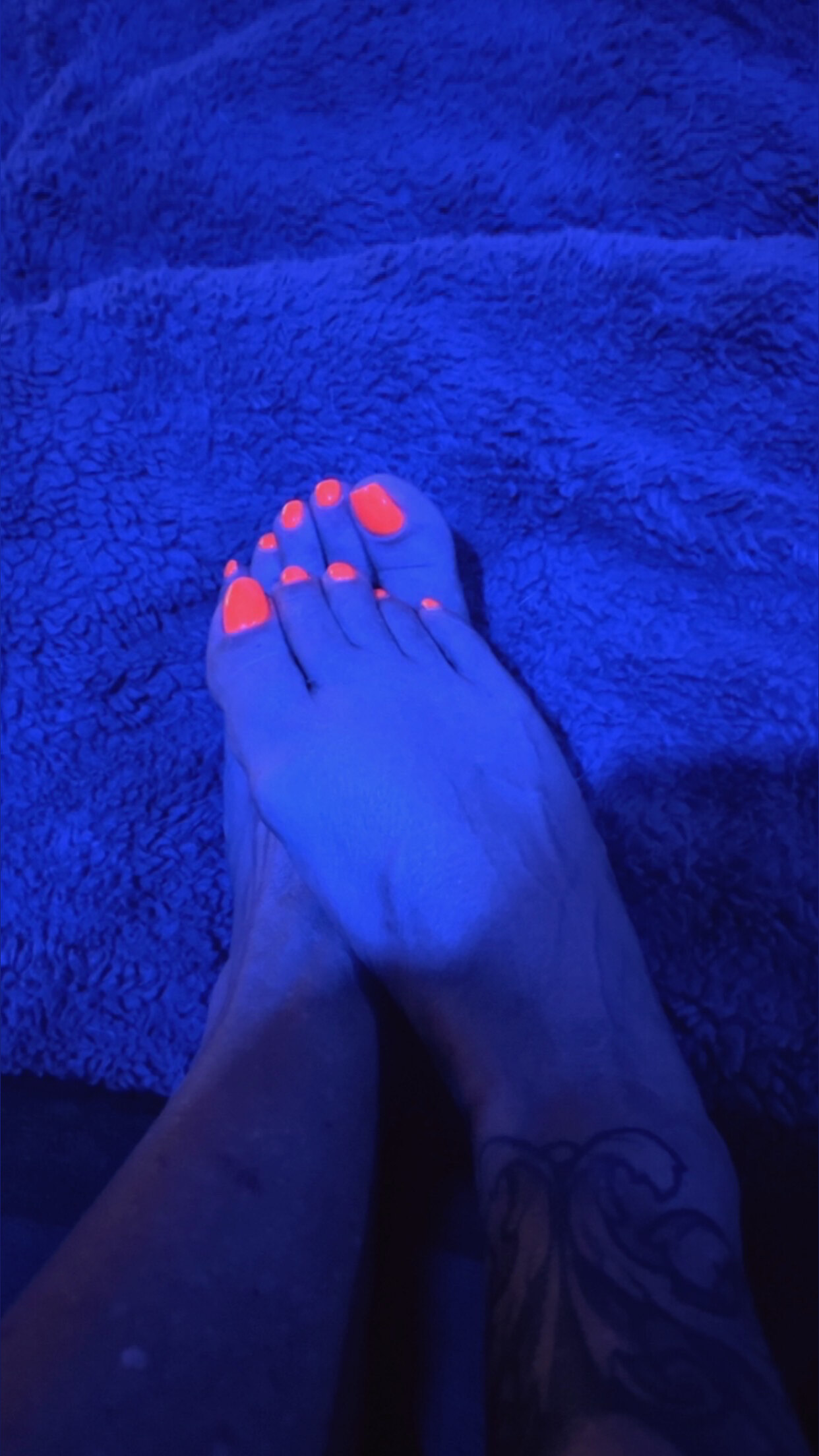 TJ banner image