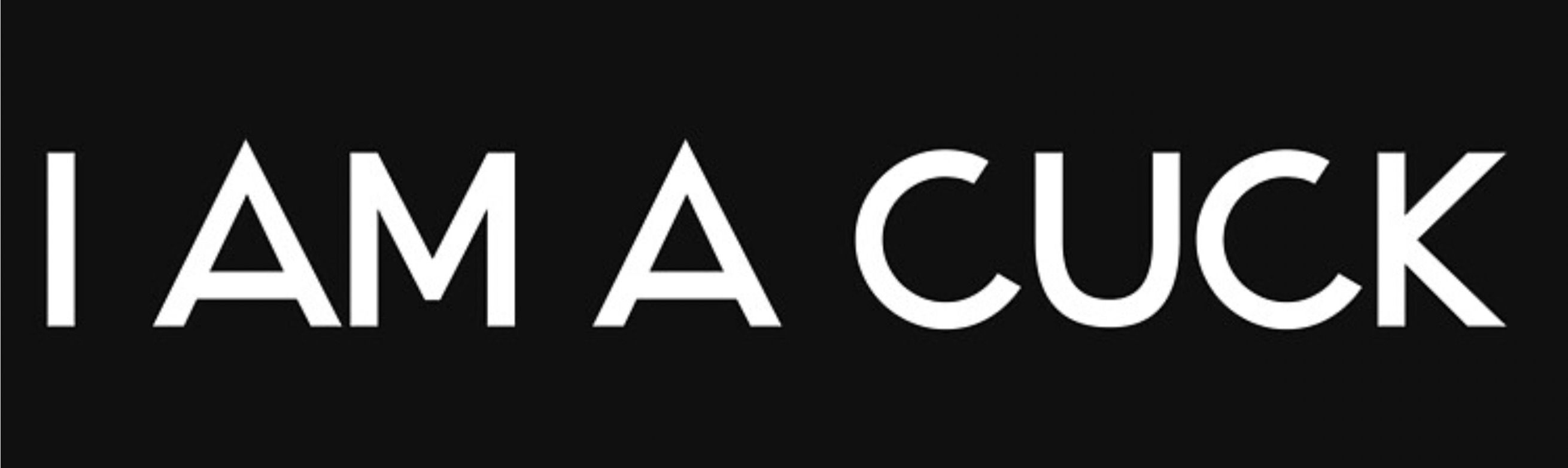 🐢Turtle Cuck🐢 banner image