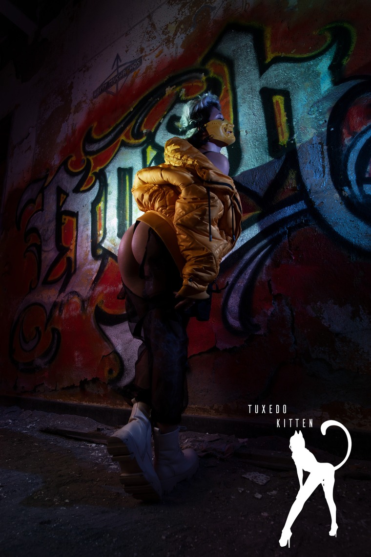 TuxedoKitten cover image