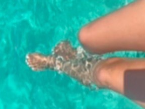 Twinkle ⭐️ Toes banner image