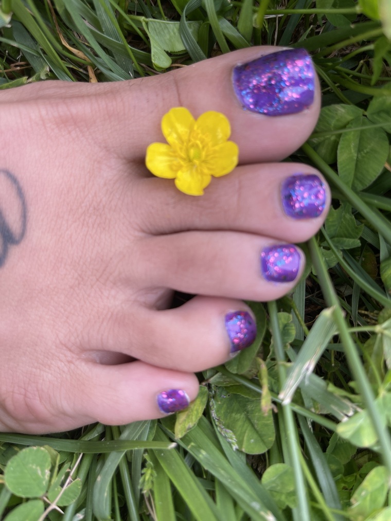 Twinkle Toes cover image