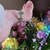 lil miss twinkle toez avatar