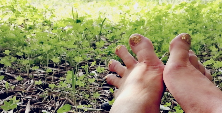 TwinkleToes cover image
