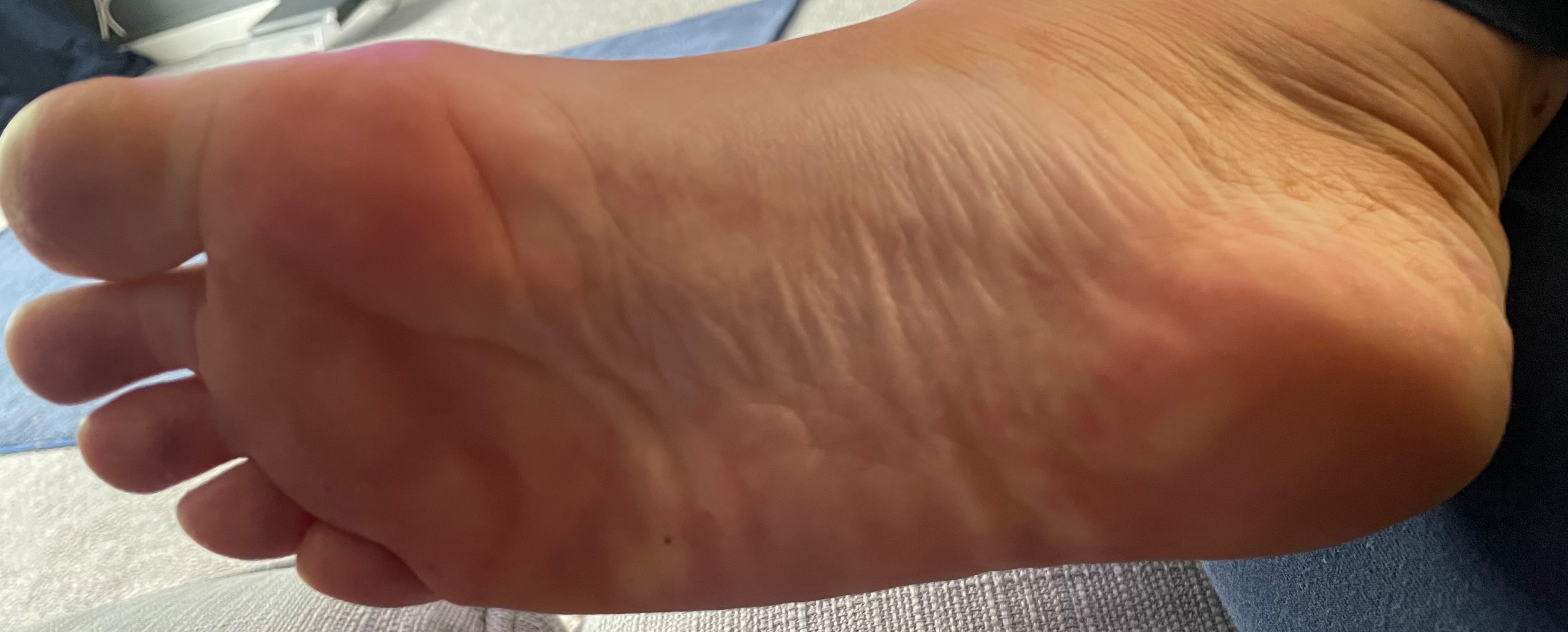 Twinkle Toes banner image