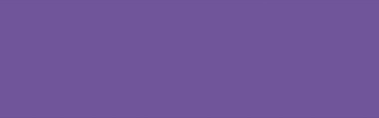 Twirling Toes banner image