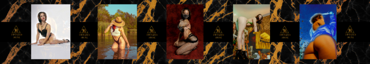 Twisted Muse Co. cover image