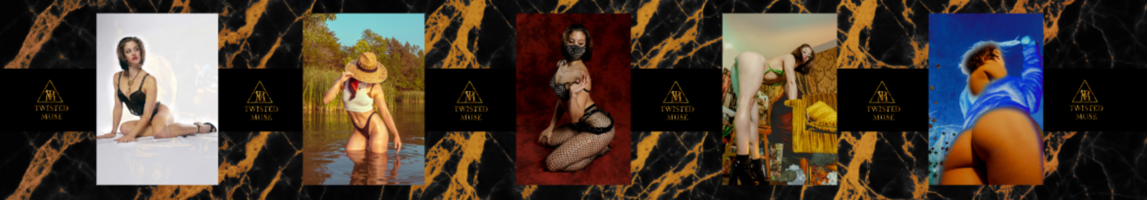 Twisted Muse Co. banner image