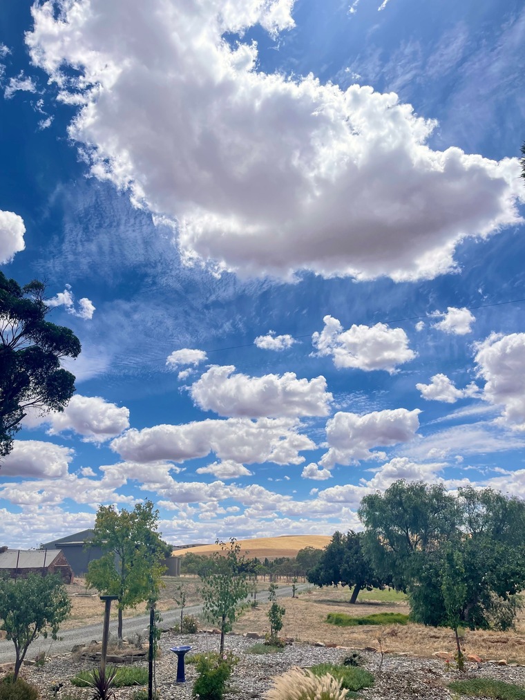 u4166716 banner image