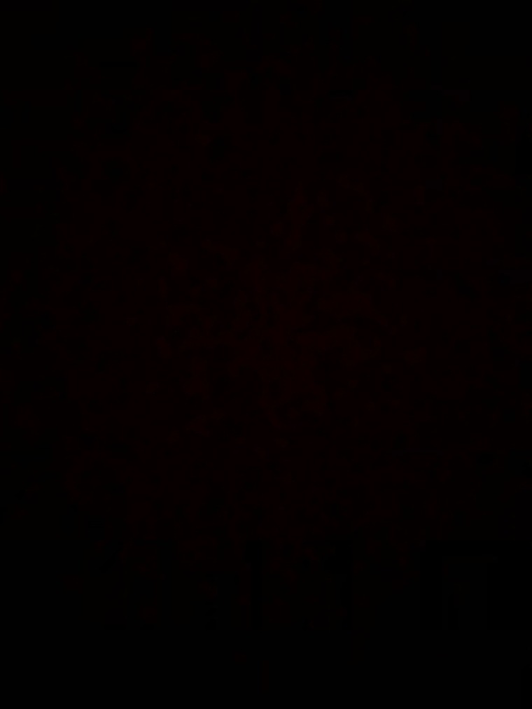 2n1latina cover image