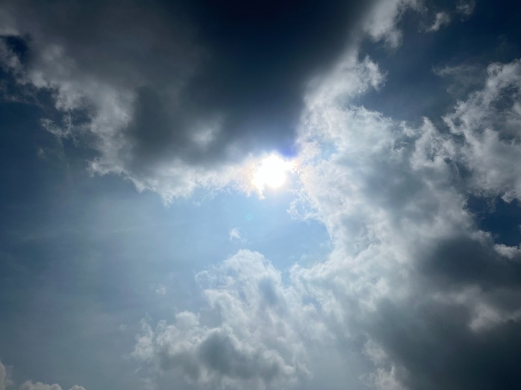 Albert II Times banner image