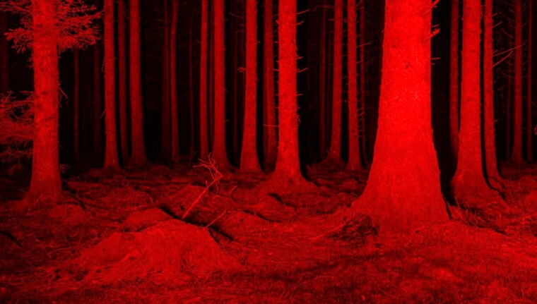 TWUNKJESUS banner image