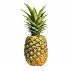Tx2020 avatar