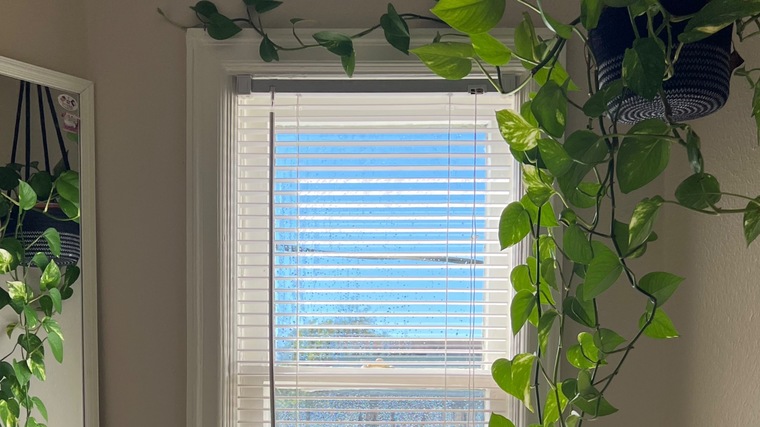 Ian cover image