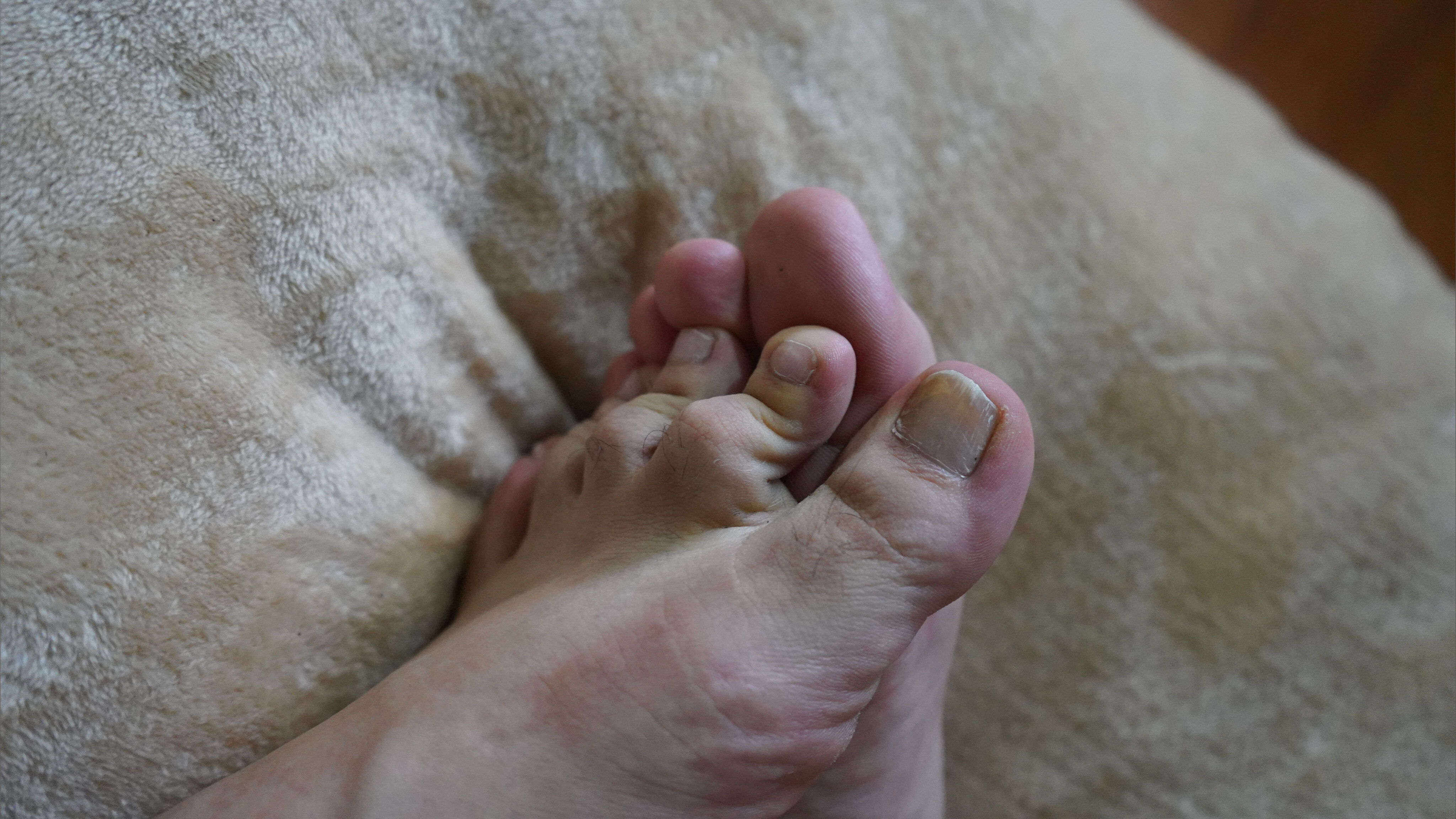 Tyagosfeet banner image