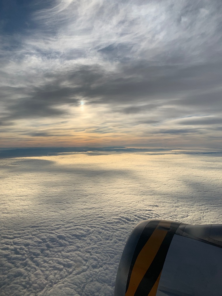 T cover image