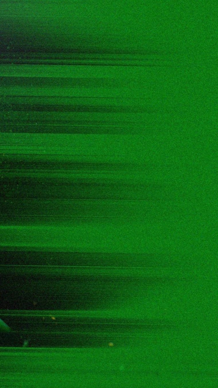 Tyler banner image