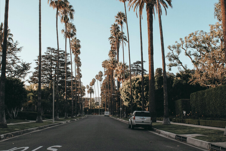 Tyler banner image